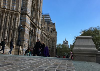 National History Museum / London