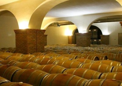 Wine Cellar / Sicily